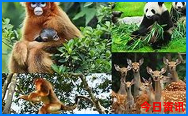 东门最漂亮三个地方